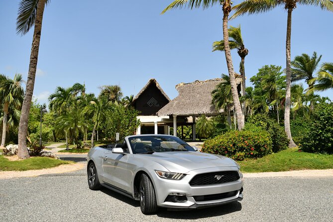 Cars for Rent in Punta Cana - Customer Reviews