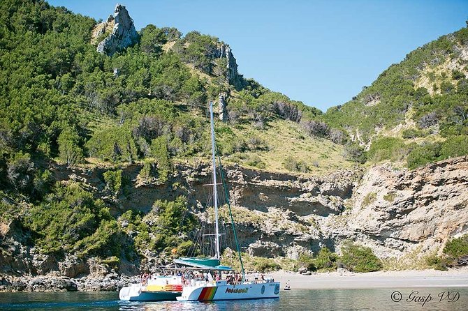 Catamaran Cruise From Port Dalcudia With Lunch and Swim Stop - Beaches and Scenic Stops