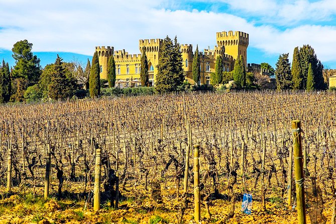 Châteauneuf Du Pape Intensive Vineyard & Fine Wine Experience - Guided Tours and Tastings