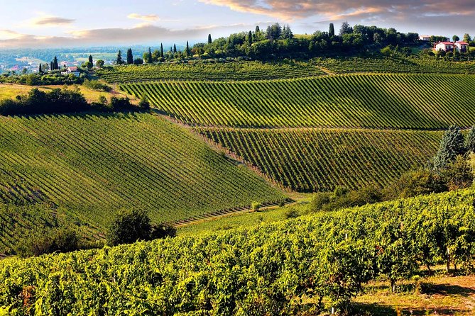 Chianti Half-Day Wine Tour in the Tuscan Hills Small Group From Lucca - Meeting and Pickup