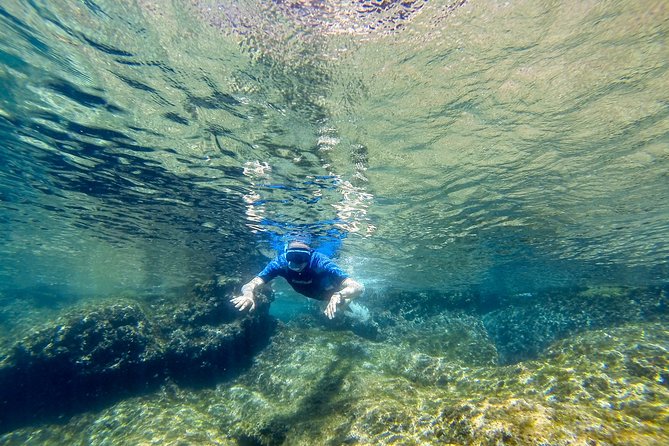 Cinque Terre Half Day Kayak Trip From Monterosso - Discovering Hidden Coves and Beaches