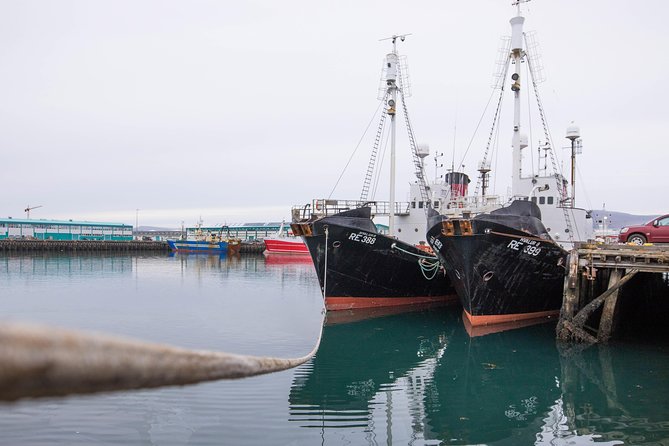 City Sightseeing Reykjavik Hop-On Hop-Off Bus Tour - Tour Features and Amenities