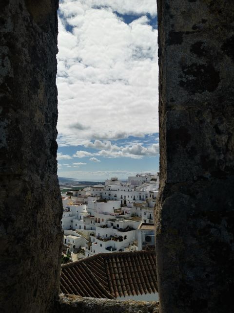 Coastal White Villages and Beaches Private Tour From Seville - Flexible Activity Options