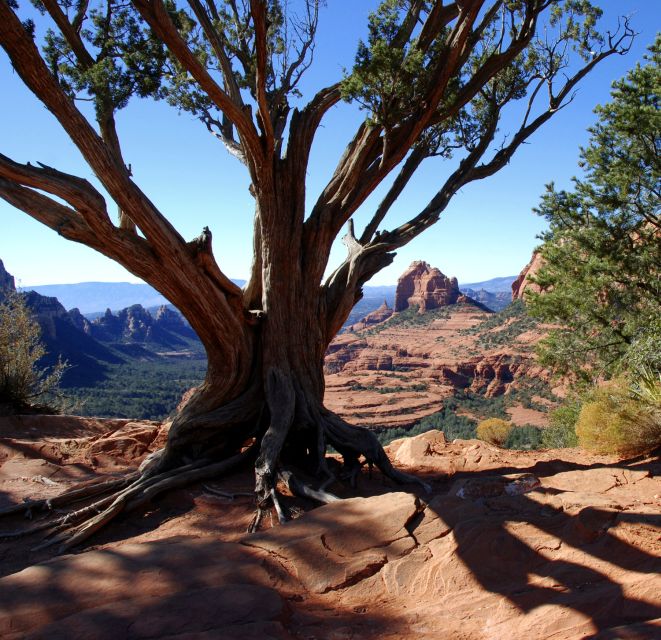 Colorado Plateau on 4x4: 2-Hour Tour From Sedona - 4X4 Journey in Bear Wallow