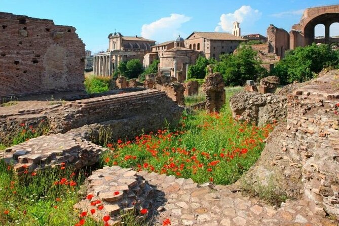 Colosseum & Ancient Rome Private: Women History Guided Tour - Traveler Requirements and Documentation