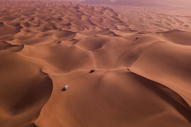 Combo Doha City Tour and Desert Safari - Camel Riding in the Desert