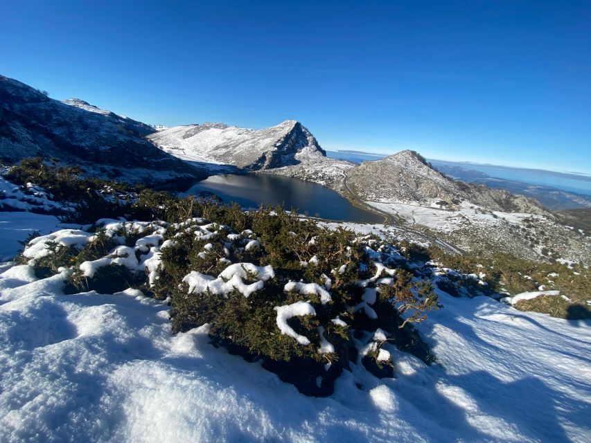 Covadonga and Lakes and Occidental Coast Private Tour - Covadonga Sanctuary and Cave