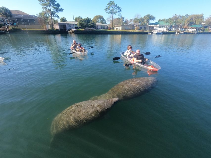 Crystal River: Springs and Manatees Clear Kayak Tour - Booking and Reservation Details