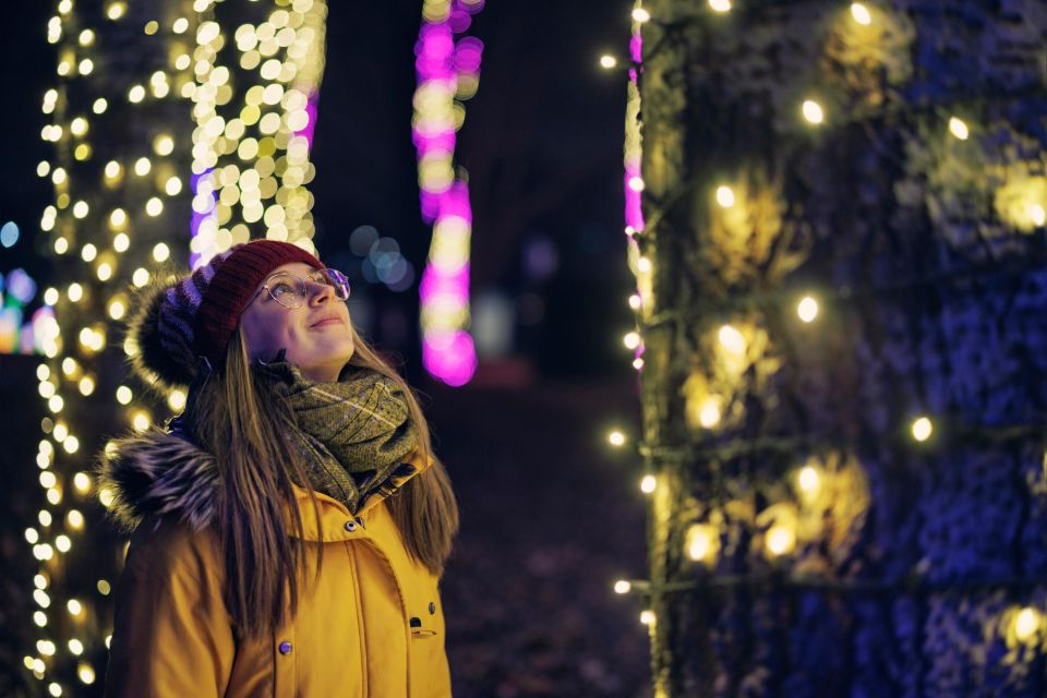 Dallas Holiday Splendor: A Festive Walk - Art Alight: Sculptures Sparkle