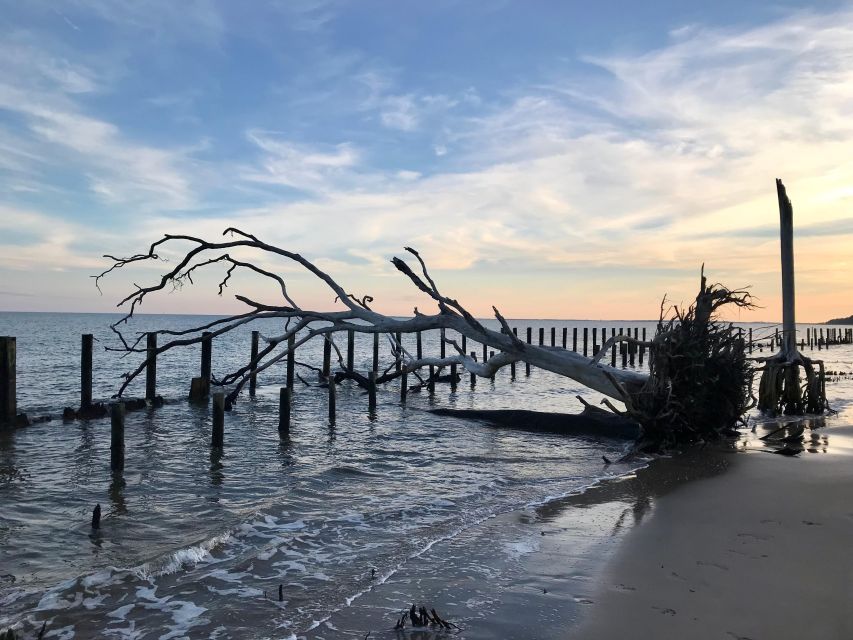 Daufuskie Island Round Trip Ferry - Exploring Daufuskie Island