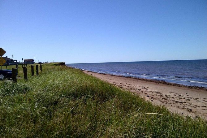 Davids North Shore Tour - Green Gables