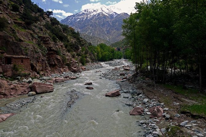 Day Excursion To Ourika Valley and High Atlas From Marrakech: Shared - Panoramic Views and Activities