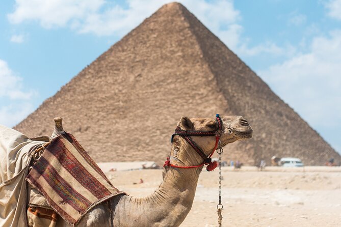 Day Tour To Giza Pyramids With Camel Ride And Egyptian Museum In Cairo - Egyptian Museum Exploration