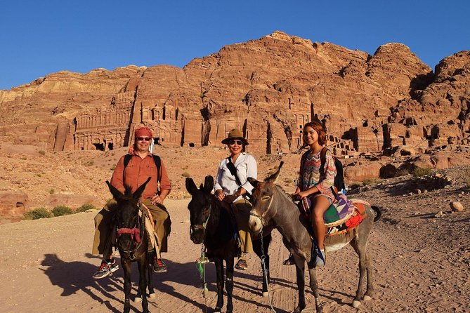 Day Tour To Petra Transfers Only From Amman - Pricing and Availability