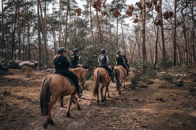 Day Trip to Fontainebleau : Horse Riding, Gastronomy and Castle - Preparing for the Days Activities