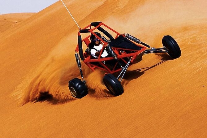 Desert Safari Tour, 6 Hour Fun, Family & Friends, Camel Ride & Dinner Included - Sandboarding Fun