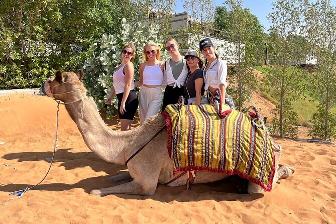 Desert Safari With BBQ Dinner and Camel Ride Experience From Dubai - Transportation Convenience