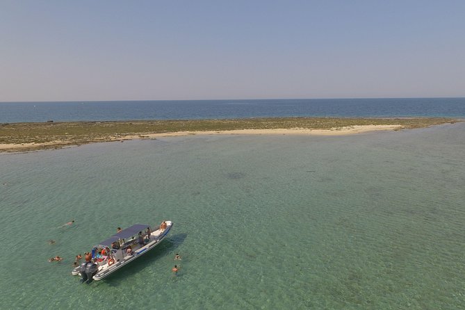 Dinghy Tour in Porto Cesareo, Punta Prosciutto and Islands - Visiting Punta Prosciuttos Landmarks