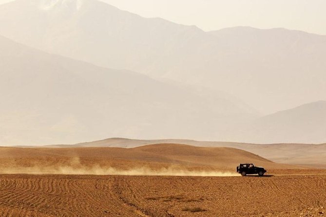 Dinner Show in Agafay Desert With Quad Bike & Camels - Customer Reviews and Feedback