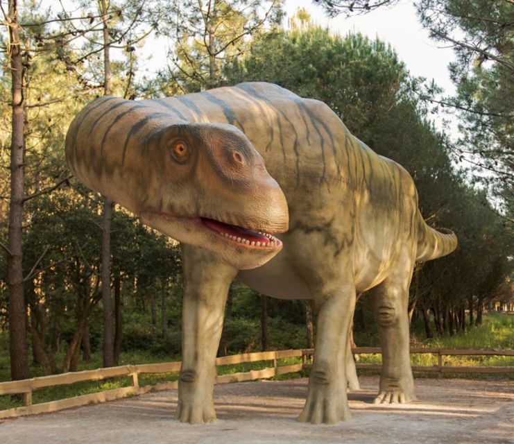 Dinosaurs Park - Family Half Day Tour - Fossil Preparation