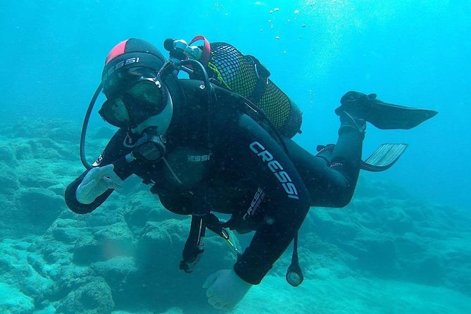 Discover Scuba Diving in Gran Canaria With Hotel Pick-Up - Vibrant Sea Life and Corals