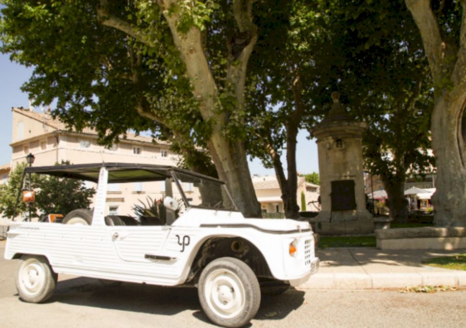 Discovering Provence by Camel - Delivery Service for Convenience