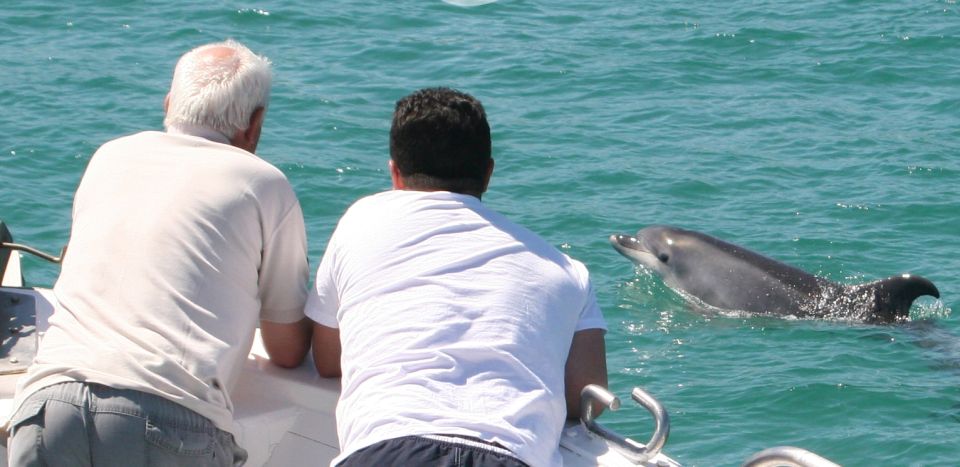 Dolphin Watching in the Wild - Half Day Private Tour - Bottlenose Dolphins