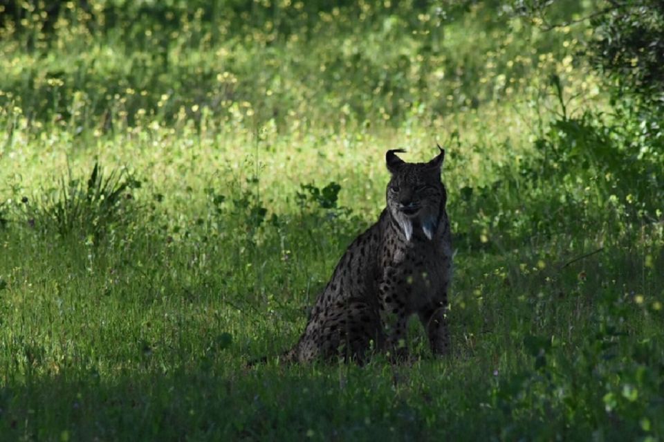 Doñana National Park: 2-Day Tour From Seville - Visit to El Rocío Village