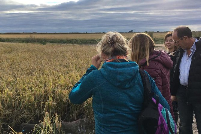 Doñana National Park and El Rocío: Guided Tour From Seville - Guided Walking Tour