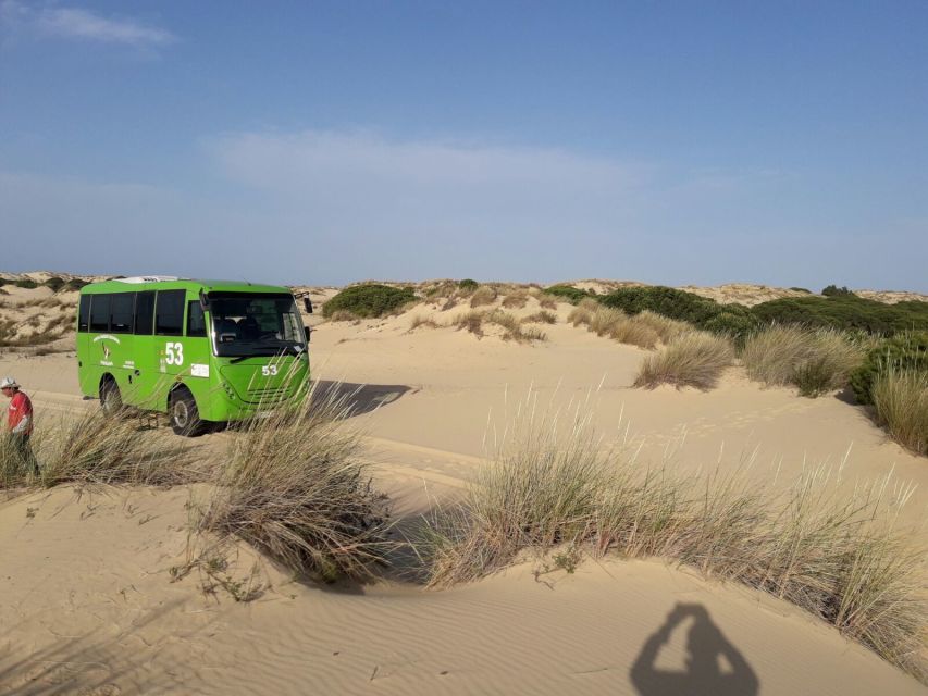 Doñana National Park Off-Road Tour From Seville - Pilgrimage Town