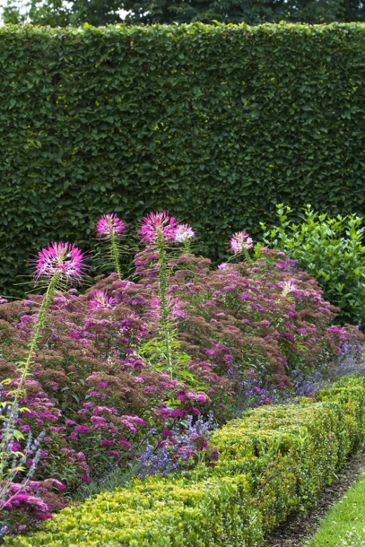 Dordogne: Visit to the Castle of Losse and Its Gardens - Using the Guided Tour and Audio Guide