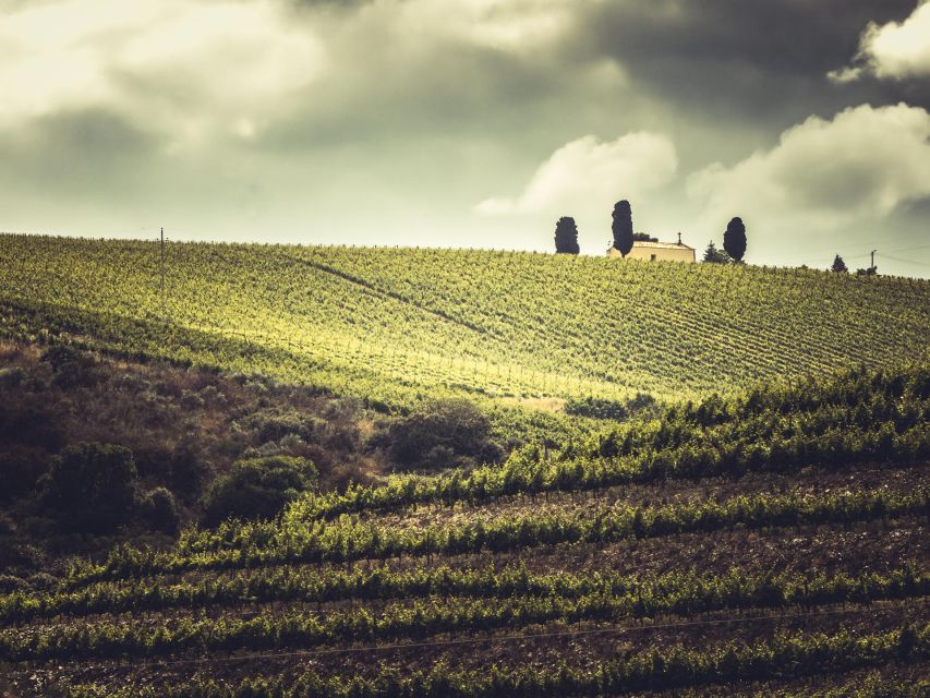 Douro Valley: 1 Day Landscape Photo Tour - Who Its Not Suitable For