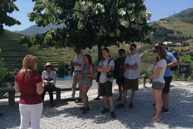 DOURO VALLEY in 8 Pax Groups W/ 2 Wineries, Lunch and 1h Cruise - Meeting and Pickup