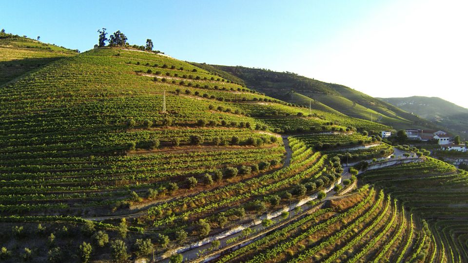 Douro Valley: Quinta De S. Luiz Winery Tour and Tasting - Booking and Cancellation