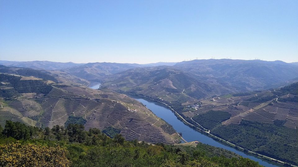 Douro & Vinho Verde Private Tour - Scenic Lunch and Views