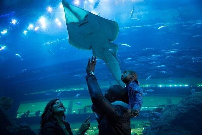 Dubai Aquarium With Optional Glass Bottom Boat Tour & Transfers - Booking Information