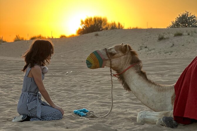 Dubai Sunset Red Dune Desert Safari, Sandboarding and Camel Ride - Pricing and Cancellation