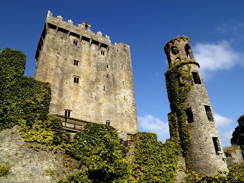 Dublin: Blarney Castle Small Group Tour - Important Information