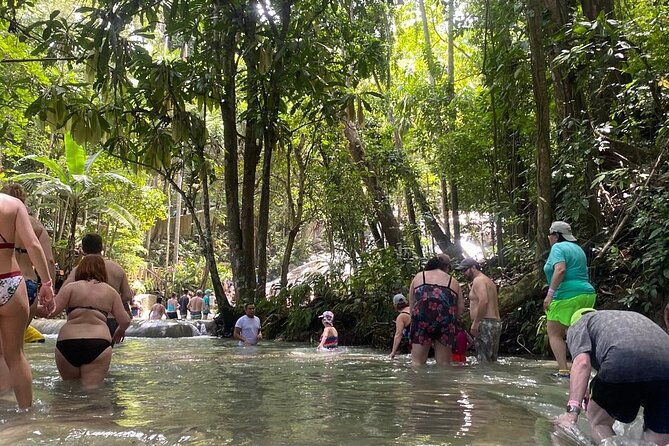 Dunns River Falls Private Day Tour - Reviews and Ratings