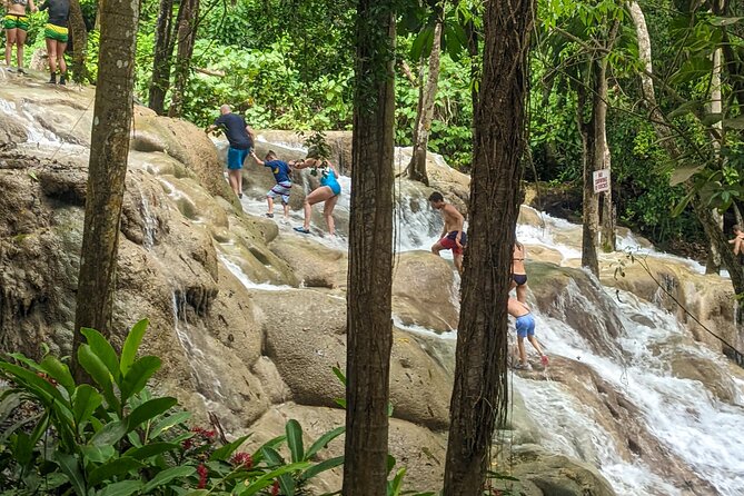 Dunns River Falls, Rafting, Zipline & Horseback From Montego Bay - Pricing and Booking Information