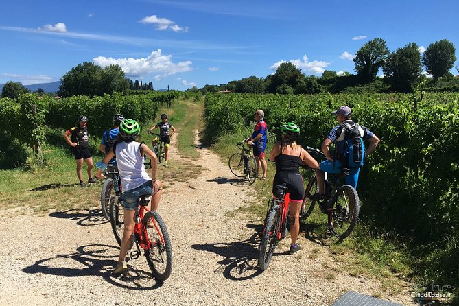 E-Bike Tour and Wine Tasting in Lazise - Small Group Cycling Adventure