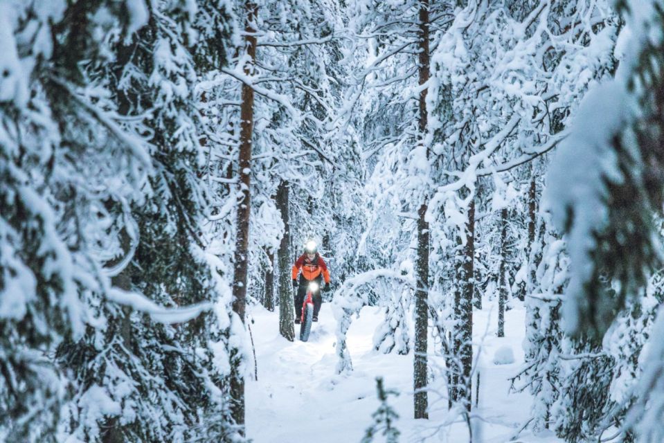 E-Fatbike Experience in Small Groups - Experience Highlights