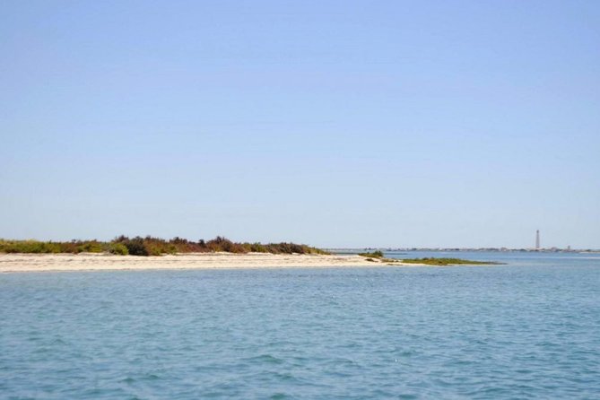 Eco Boat Tour in the Ria Formosa Lagoon From Faro - Meeting Point and Check-in Logistics