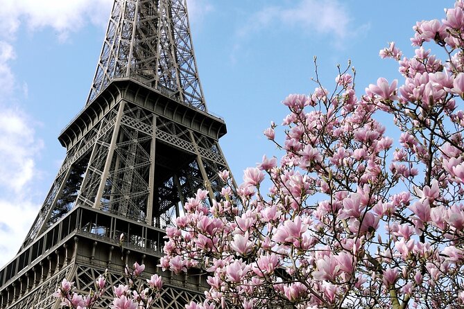 Eiffel Tower Summit Semi-Private Guided Tour - Confirmation and Accessibility