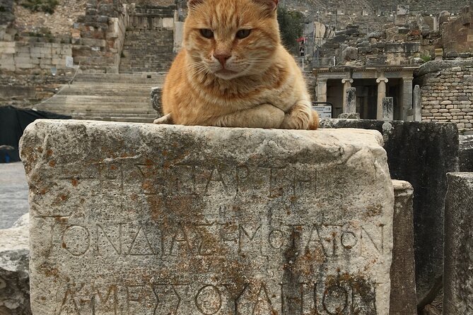 Ephesus Tour From Kusadasi With Lunch - Cancellation and Booking Information