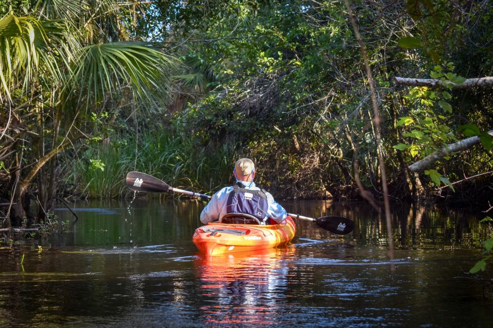 Everglades City: Guided Kayaking Tour of the Wetlands - Customer Reviews and Ratings