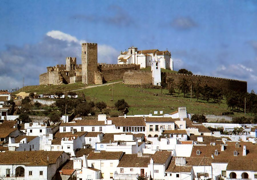 Évora Full-Day Tour With Wine Tasting From Lisbon - Visiting the Roman Temple and Chapel of Bones