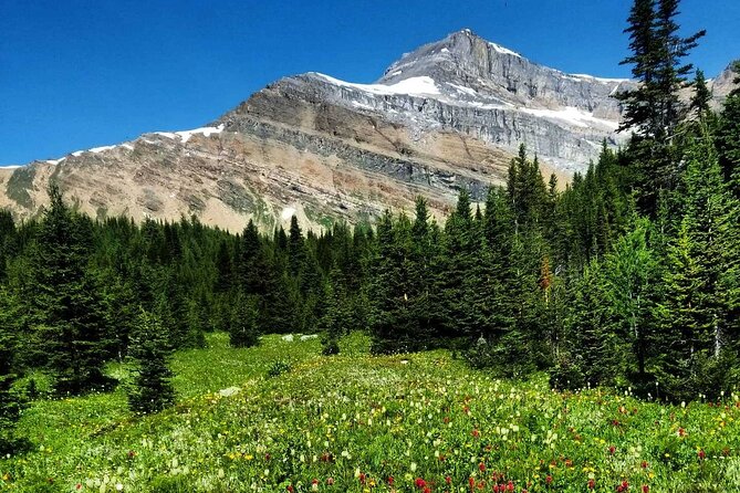 Exclusive Skoki Backcountry Guided Hiking in Lake Louise With Van Shuttle - Booking Confirmation