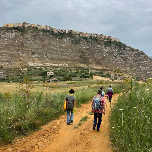 Experience With Girgentan Goats in Agrigento - Tour Leader: English and Italian