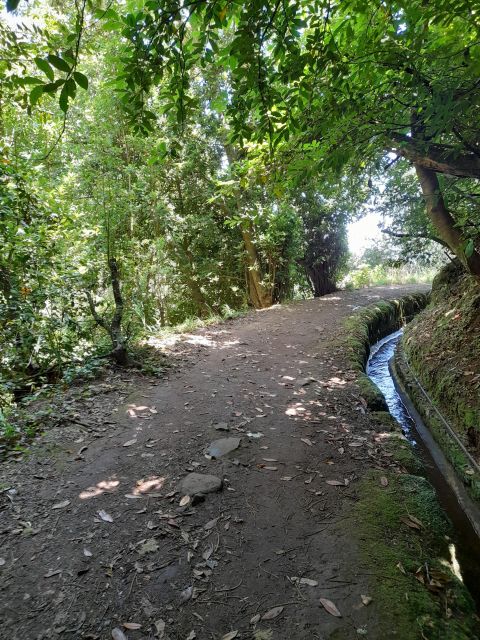 Faial Serra Levada, Camacha - Guided Tour and Itinerary